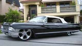 Would Car Nutz Customs Be Illegal In Florida?